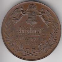 1881. "Országos Nőiparkiállítás Budapesten 1881 / Koburg Herczegné az Orsz. Nőiparkiállítás Véd...