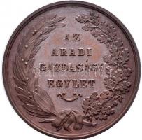 1872KB "ARAD HEGYALJAI BOROKÉRT GYOROKON 1872. K.B. / AZ ARADI GAZDASÁGI EGYLET" Br emléké...