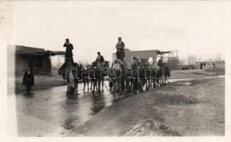 Camel caravan, rest, photo