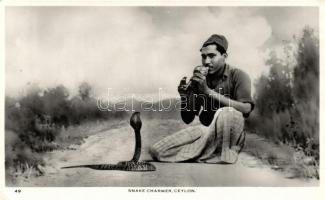 Ceylon, snake charmer (EK)