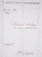 1918 Pénzügyi szemlész kinevezés Szende Pál, a Károlyi kormány pénzügyminiszterének aláírásával