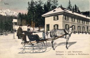 Tátrafüred Schlitten