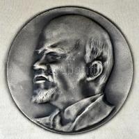 ~1960. Eredményes propaganda munkáért járó Br emlékplakett adományozói dísztokban. Szign.: CVS T:1- ...