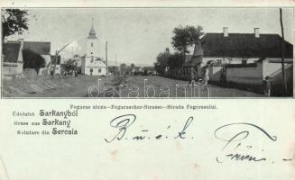 1899 Sárkány, Sercaia; Fogaras utca / street (EK)