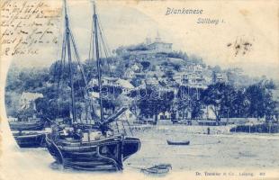 1898 Blankenese
