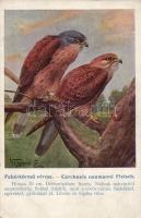 6 db régi, vegyes képeslap tétel / 6 mixed postcards