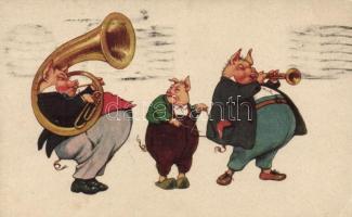 Pig band, humour (Rb)