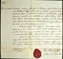 1850 a nagyváradi városi tanács igazolása hogy az illető a szabadságharcban nem vett részt