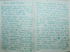 1977 1 db plakát a nyíregyházi repüléstechnikai kiállításról 62x50 cm