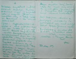 1977 1 db plakát a nyíregyházi repüléstechnikai kiállításról 62x50 cm