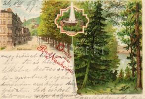 1899 Bad Nauheim Litho