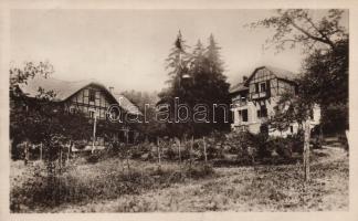 Nagybánya Wágner sanatorium