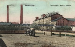 Nagysurány sugar factory (Rb)