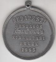 1885. "Budapesti Országos Általános Kiállítás Emlék" ezüstözött cink emlékmedál (30mm) T:2...