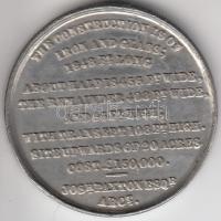 Nagy-Britannia 1851. "A Nemzetközi Kiállítás Épülete London 1851" Al emlékérem (27mm) C:2
...