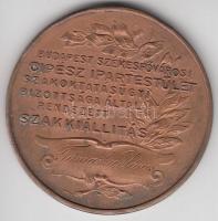 Schuck J. ~1910. "Cipész Ipartestület Szakkiállítás" Br emlékérem (40mm) T:2,2-