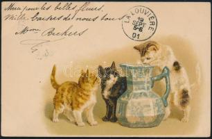 Cats litho (EK)