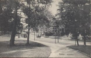 Torino Valentino, tram, horse carriage