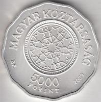 2009. 5000Ft Ag "Dohány utcai zsinagóga" T:BU