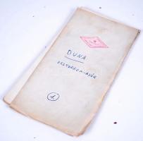 cca 1920 A Duna Esztergom és Győr közötti szakaszának térképe 333 cm