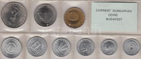 1981. 2f-10Ft 9db klf érmés forgalmi sor fóliatokban T:1