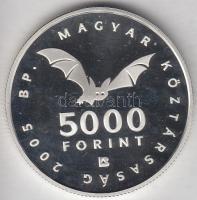 2005. 5000Ft Ag "Aggteleki-karszt barlangjai" T:PP