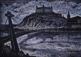 Olvashatatlan jelzéssel: Pozsony. Linometszet, papír, keretben 39×90 cm, több helyen piszkos/ Bratis...