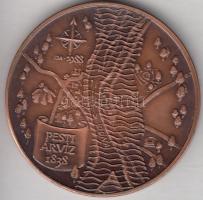 Fritz Mihály (1947-) 1988. "MÉE - Pesti árvíz / Wesselényi Miklós" Br emlékérem (42,5mm) T...