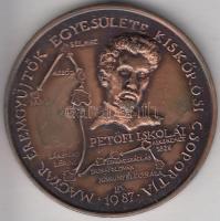 Lapis András (1942-) 1987. "MÉE - Kiskőrösi Csoport - Petőfi útja sorozat II" Br emlékérem (42,5mm) T:1