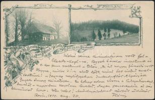 Pleschkogel, Hotel Plesch-Wirth (wet damage)