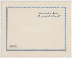 1929 Aradi Bánság egyesület díszudvarlátásra szóló sorszámozott irredenta meghívó