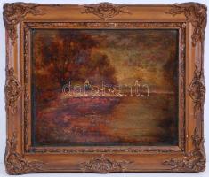 Jelzés nélkül: Liba pásztor. Olaj, karton, antik keretben 28×32 cm, restaurálásra szorul