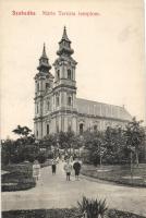 Szabadka Maria Theresia church (wet damage)