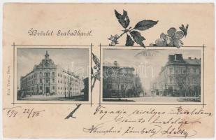 1899 Szabadka teacher training school, court, floral (EB)