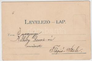 Újvidék panorama card (small tear)