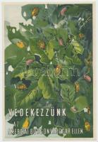 cca 1930 Amerikai burgonyabogár litho kisplakát 14x21 cm