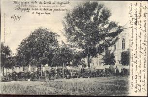 Kazanluk, Kazanlik school garden, planting