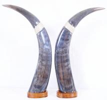 Gazdagon díszített keleti tülök pár, fa talpakon, jó állapotban, m:46 cm