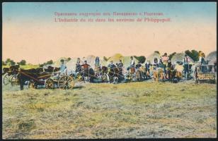 Bulgarian peasants, rice cultivation around Plovdiv / Philippopoli, folklore
