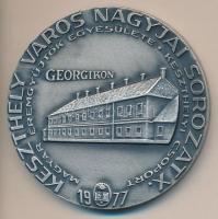 Képíró Zoltán (1944-1981) 1977. "MÉE Keszthely - Festetics György 1755-1819 / Keszthely Város N...