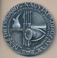 Képíró Zoltán (1944-1981) 1976. "MÉE Keszthely - Lippay Gáspár 1809-1895 / Keszthely Város Nagy...