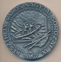 Képíró Zoltán (1944-1981) 1977. "MÉE Keszthely - Egry József 1883-1951 / Keszthely Város Nagyja...