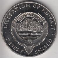 ENSZ 1991. "Sivatagi vihar / Kuwait felszabadulása" fém emlékérem T:BU
United Nations 1991...