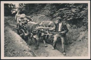 Carpatho-Ukrainian peasants, folklore