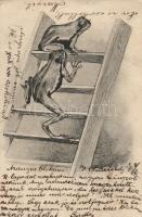 Frogs on the ladder (small tear)