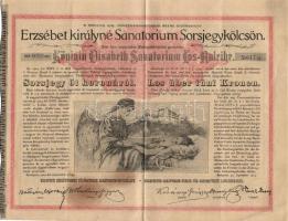 1904. "Erzsébet királyné Sanatorium Sorsjegykölcsön" sorsjegye 5K-ról (5x) T:3,3-