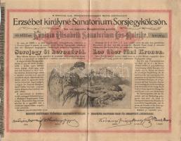 1904. "Erzsébet királyné Sanatorium Sorsjegykölcsön" sorsjegye 5K-ról (5x) T:3,3-
