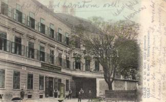 Celje grammar school (EB)