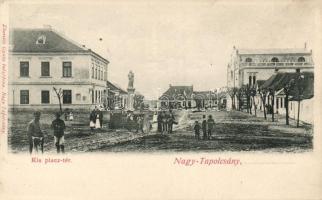 Nagytapolcsány with synagogue