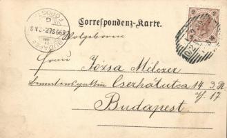 1899 Mistelbach with synagogue